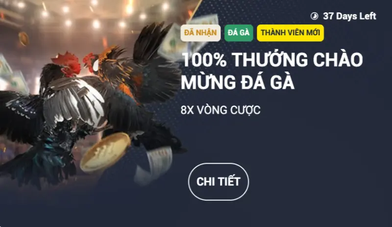 Ưu đãi 100% sảnh đá gà